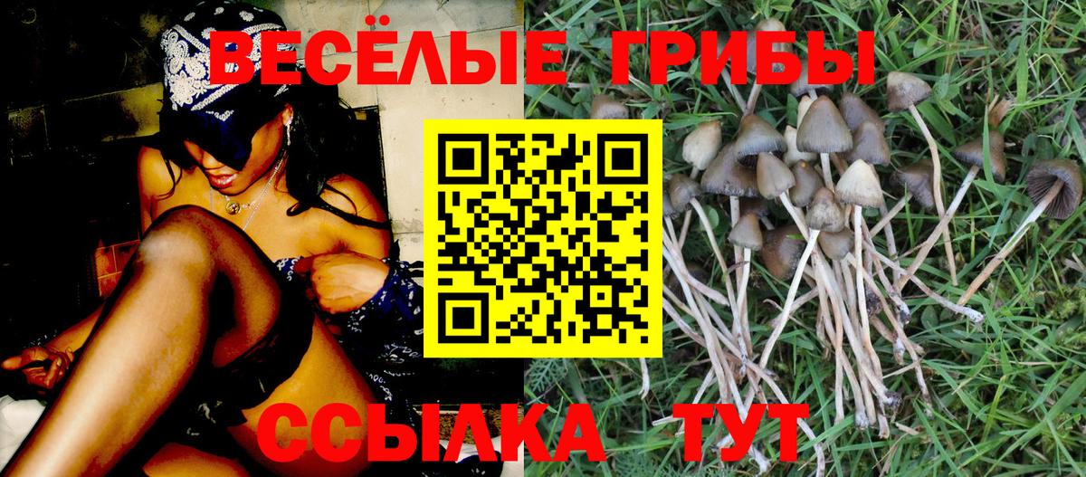 Псилоцибиновые грибы GOLDEN TEACHER Санкт-Петербург